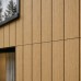 Fasado plokštė Carlos Cedar